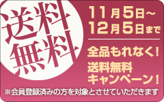 送料無料キャンペーン