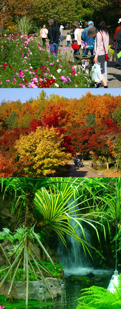 宇治市植物公園 概要