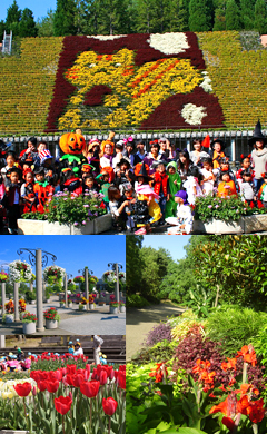 宇治市植物公園「花と水のタペストリー」 チャチャ王国のおうじちゃま
