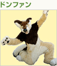 ドンファン