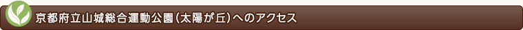 チャチャ王国のおうじちゃま おうじちゃまつり２０１４ 太陽が丘概要