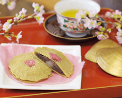 京都祇園 京煎堂 御縁の桜