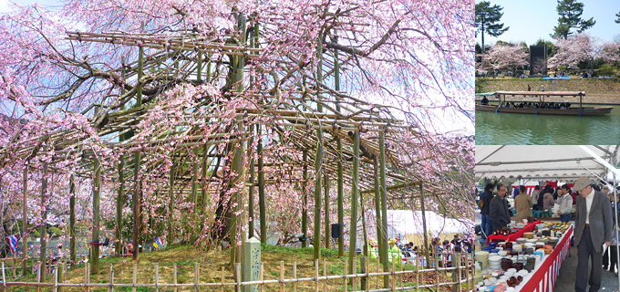 宇治川さくらまつり・炭山陶器まつり