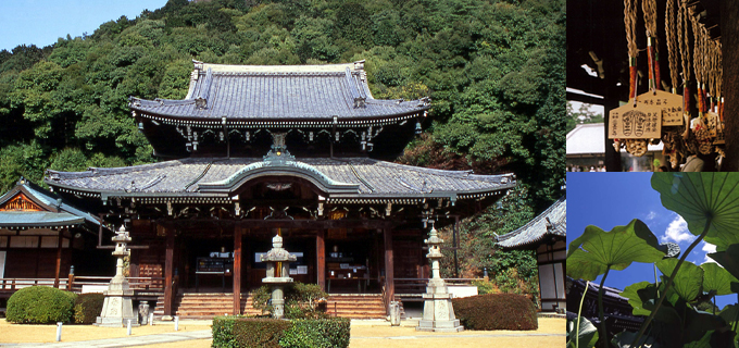 三室戸寺