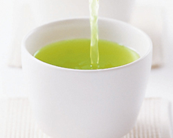こいまろ茶