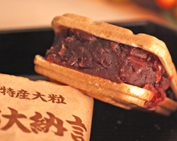 丹波特産大粒京都大納言　5個入