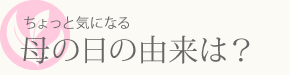 ちょっと気になる母の日の由来は？