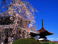 歴史ある都「京都」