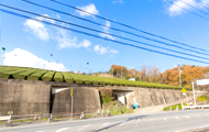 道の駅 お茶の京都 南山城村