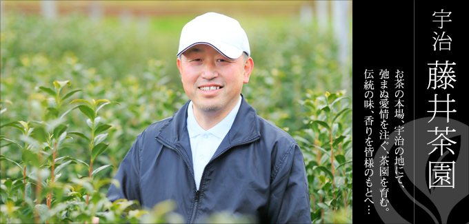 宇治 藤井茶園 - お茶の本場、宇治の地にて、弛まぬ愛情を注ぐ、茶園を育む。伝統の味、香りを皆様のもとへ。