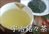 京都宇治 宇治茶