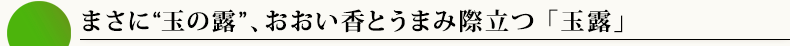 まさに“玉の露”おおい香とうまみ際立つ「玉露」