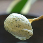 煎茶アイス「煎茶の極み」