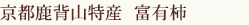 京都鹿背山特産 富有柿(赤秀2L:15個)