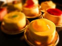 アボカドチーズケーキ 6個入