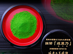 抹茶 ‐成里乃‐