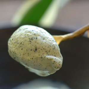 煎茶アイス「煎茶の極み」